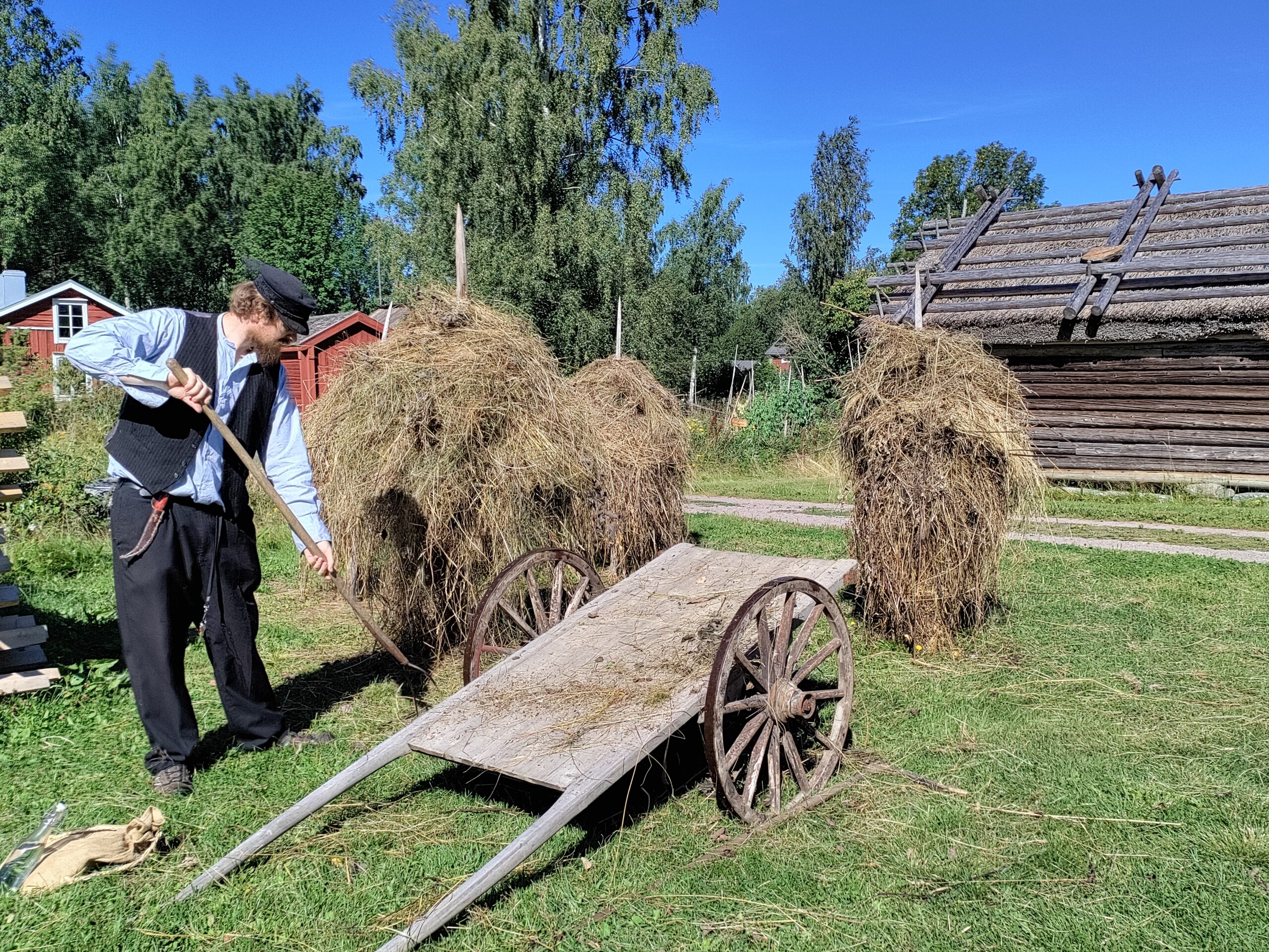 Martin höbärgar LLNF22