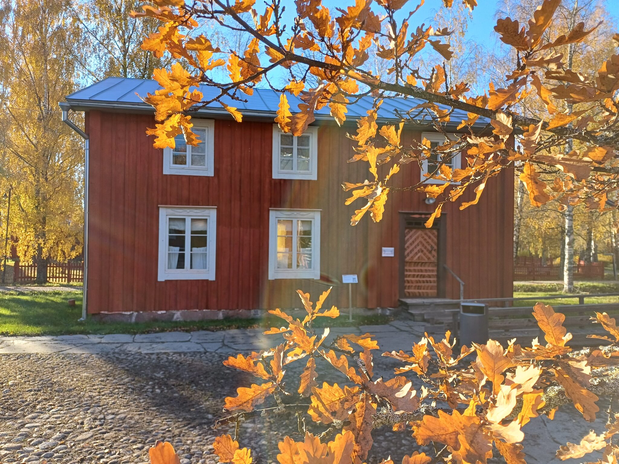Rofhöks höst MBW 2024