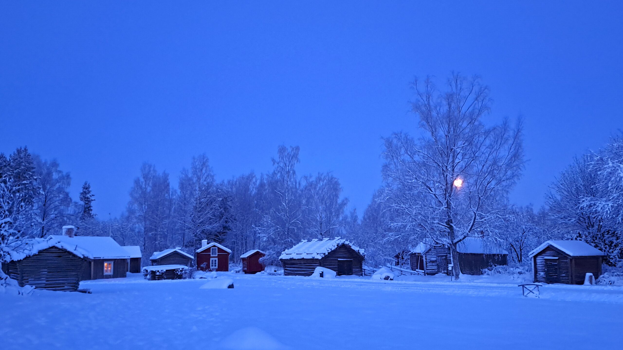 Gråbyn i midvinterskrud och månljus LNF24