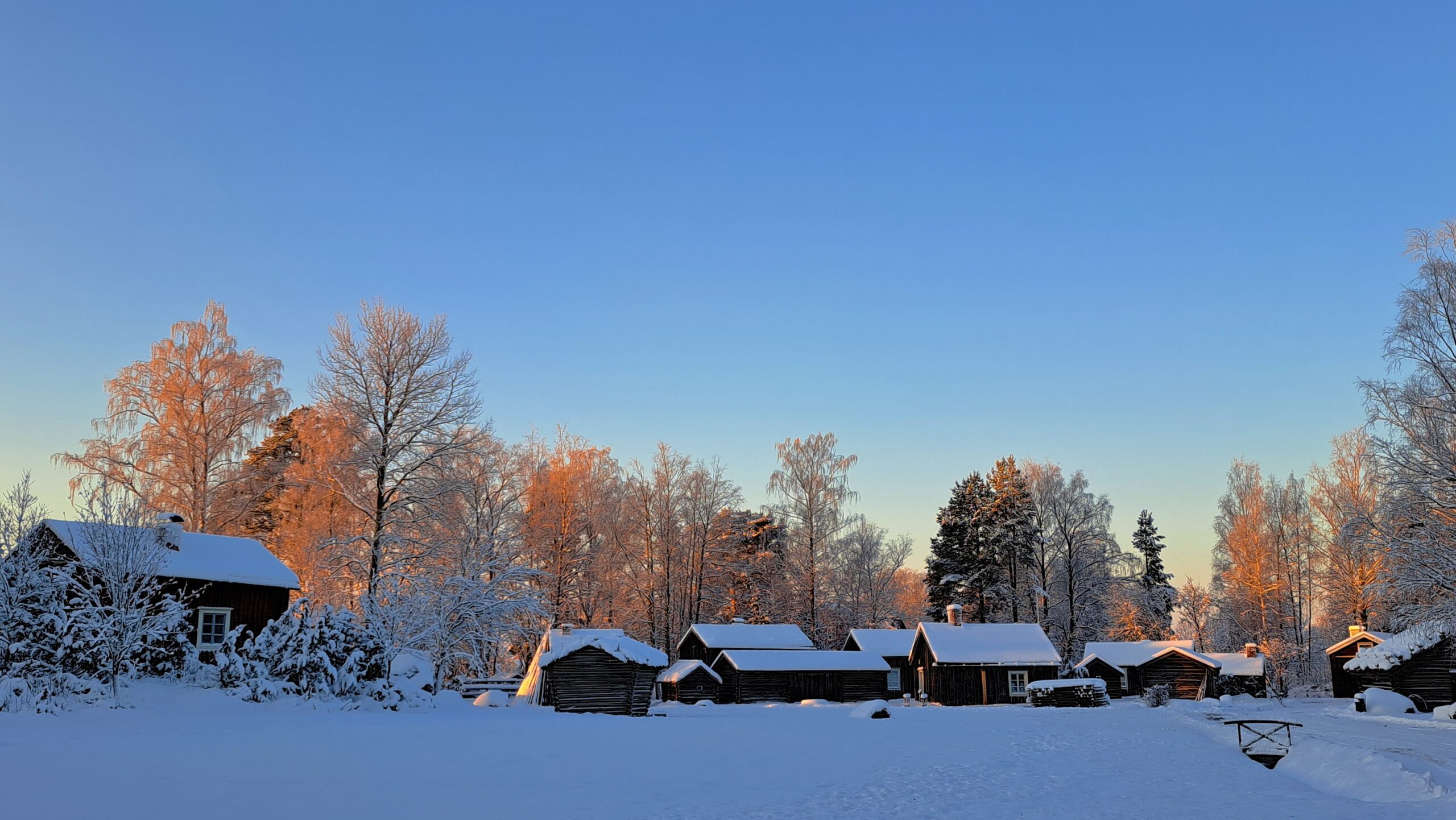 Gråbyn i orange vintersol LNF24