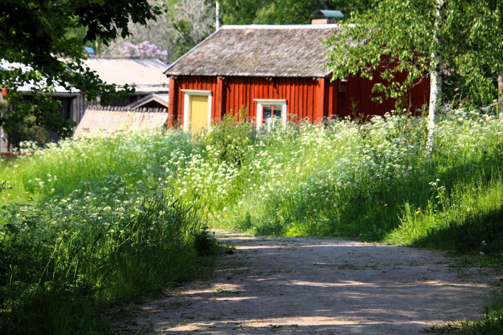 Museibyn i hundlokor stigen LNF23