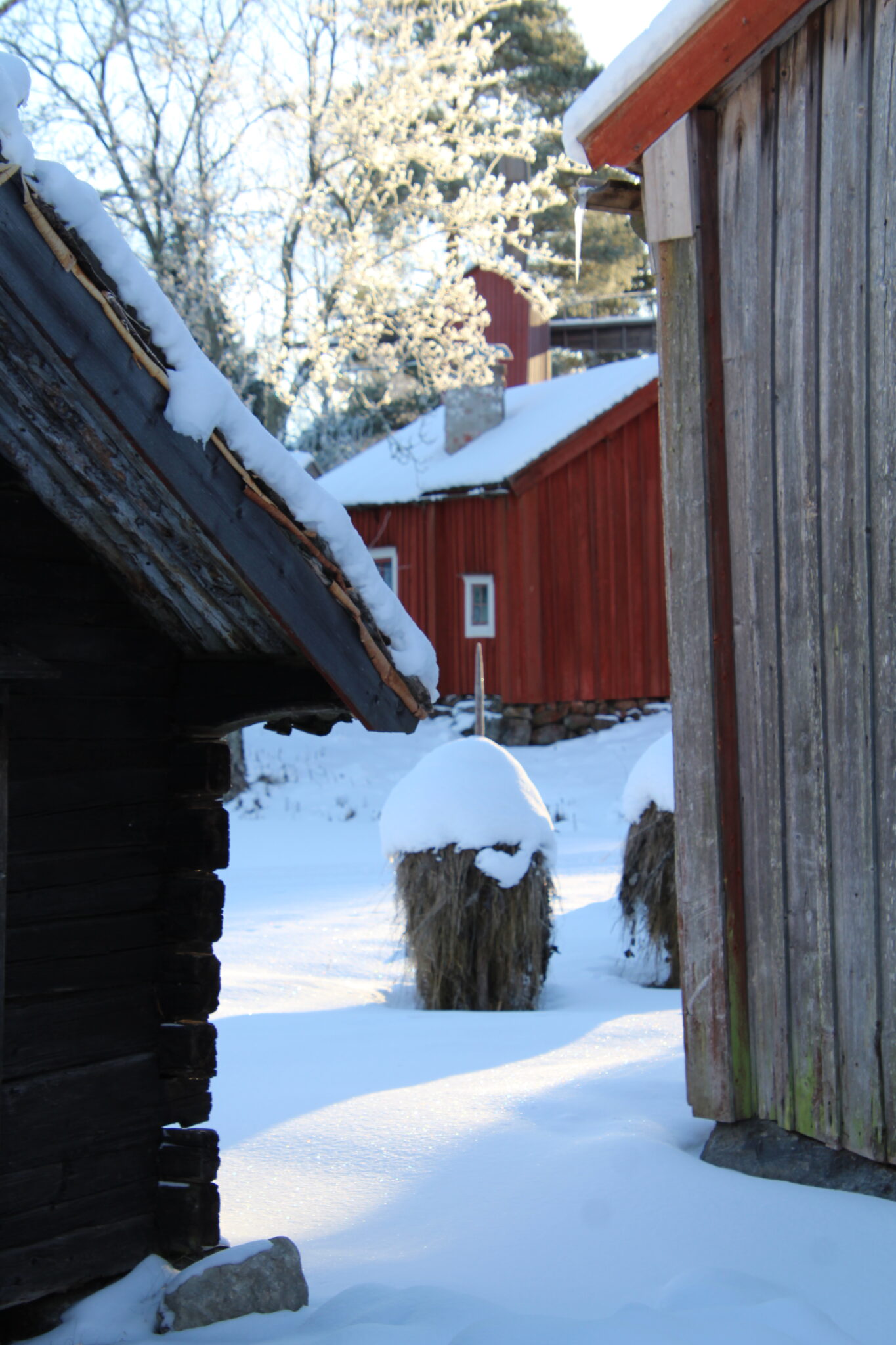 Vinter i museibyn LNF23