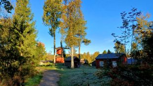 Skatkvarn höst MBW 2024