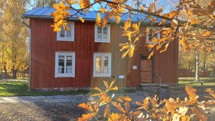Rofhöks höst MBW 2024