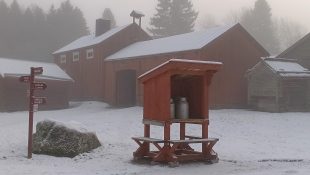 Dimmig museiby LNF24 2