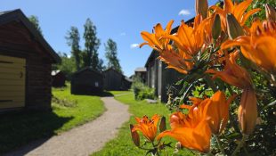 Stundars Sommar 2026 (37)