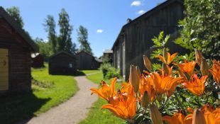 Stundars Sommar 2026 (38)