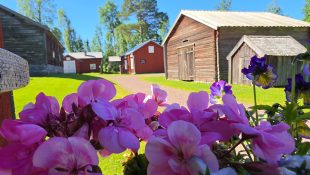Stundars Sommar 2026 (48)