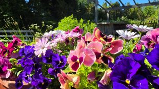 Stundars Sommar 2026 (53)
